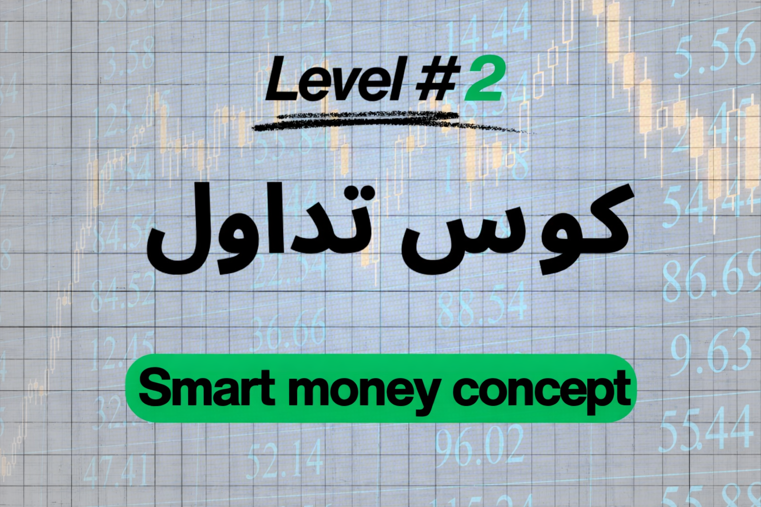 المستوى الثاني